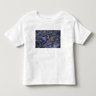 USA, New England, Massachusetts, Reading, 2 Toddler T-shirt