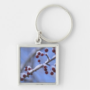 USA, New England, Massachusetts, Reading, 3 Keychain