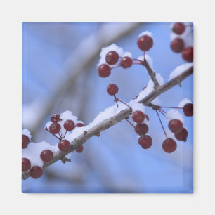 USA, New England, Massachusetts, Reading, 3 Magnet