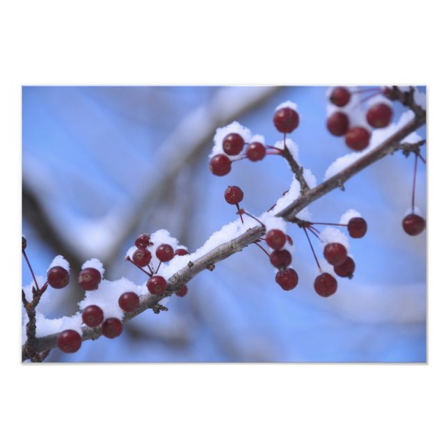 USA, New England, Massachusetts, Reading, 3 Photo Print (Front)