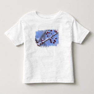 USA, New England, Massachusetts, Reading, 3 Toddler T-shirt