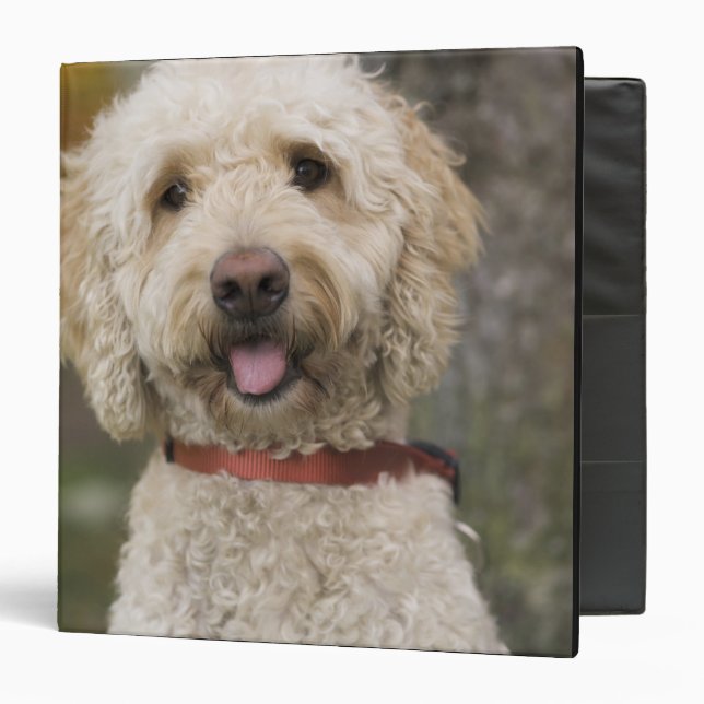 USA, New England, Massachusetts, Reading, Binder (Front/Inside)