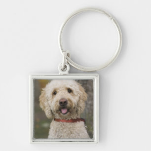 USA, New England, Massachusetts, Reading, Keychain