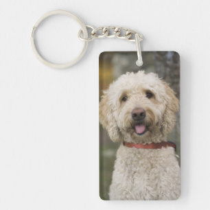 USA, New England, Massachusetts, Reading, Keychain