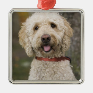 USA, New England, Massachusetts, Reading, Metal Ornament