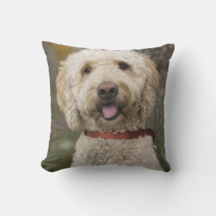 USA, New England, Massachusetts, Reading, Throw Pillow