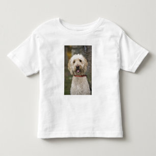 USA, New England, Massachusetts, Reading, Toddler T-shirt