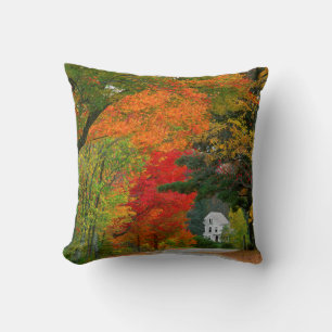 USA, New England, New Hampshire, Andover Throw Pillow