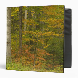 USA, New Hampshire, Livermore, White Mountain Binder