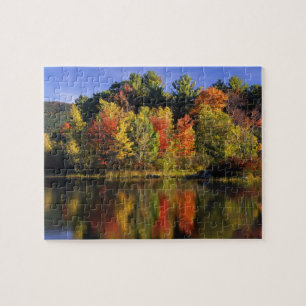 USA, New Hampshire, Moultonborough. Trees in Jigsaw Puzzle