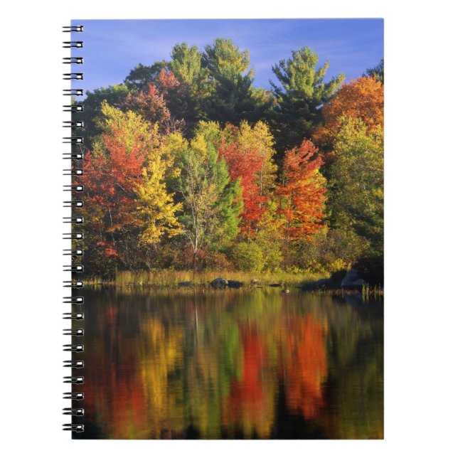 USA, New Hampshire, Moultonborough. Trees in Notebook (Front)