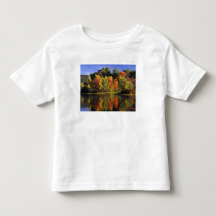 USA, New Hampshire, Moultonborough. Trees in Toddler T-shirt