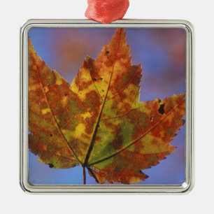 USA, New Hampshire, White Mountains, Franconia Metal Ornament