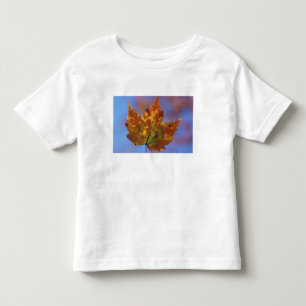 USA, New Hampshire, White Mountains, Franconia Toddler T-shirt