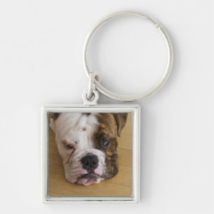USA, New Jersey, Jersey City, Portrait of bored Keychain