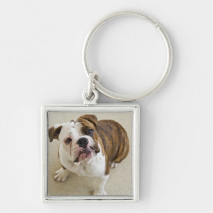 USA, New Jersey, Jersey City, Portrait of cute Keychain