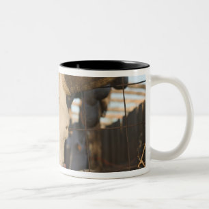 USA, New Mexico, Mesilla: Historic Mesilla Plaza Two-Tone Coffee Mug