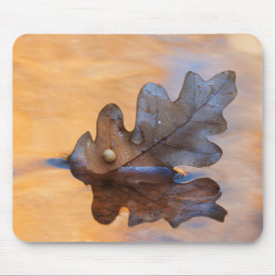 USA, New Mexico. Oak leaf in stream Mouse Pad