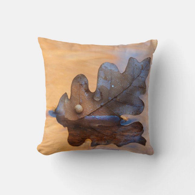 USA, New Mexico. Oak leaf in stream Throw Pillow (Front)