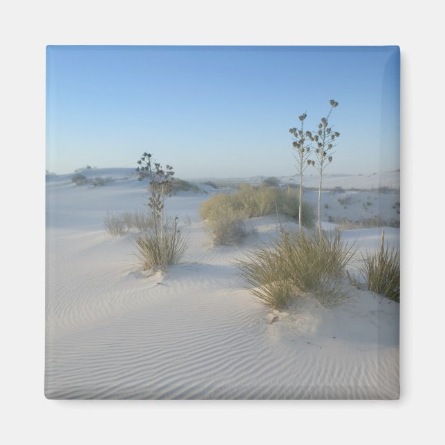 USA, New Mexico, White Sands National 2 Magnet (Front)