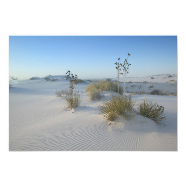 USA, New Mexico, White Sands National 2 Photo Print (Front)