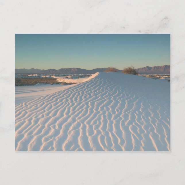 USA, New Mexico, White Sands National Postcard (Front)