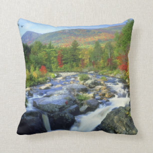 USA, New York. A waterfall in the Adirondack Throw Pillow