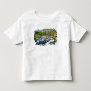 USA, New York. A waterfall in the Adirondack Toddler T-shirt