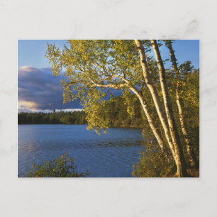 USA, New York, Adirondack Park And Preserve Postcard