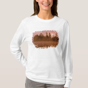 USA, New York, Adirondack Park. Sunrise on a T-Shirt
