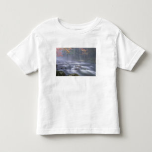 USA, New York, Adirondacks, Big Moose River Toddler T-shirt