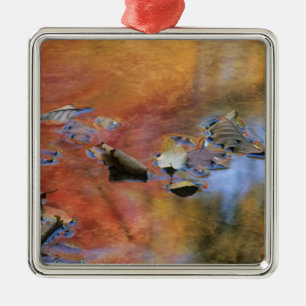USA, New York, Adirondacks, Fallen Leaves in Metal Ornament