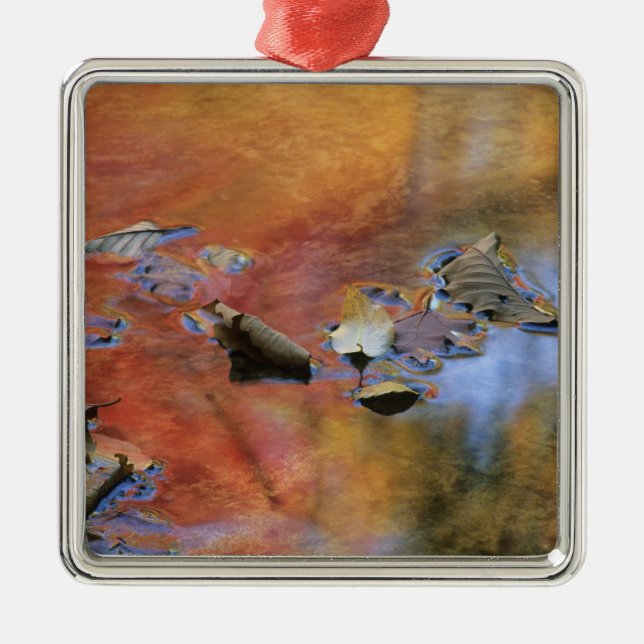 USA, New York, Adirondacks, Fallen Leaves in Metal Ornament (Front)
