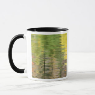USA, New York, Adirondacks, Reflections in water Mug