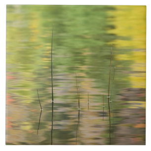 USA, New York, Adirondacks, Reflections in water Tile