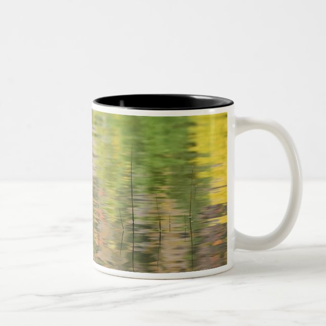 USA, New York, Adirondacks, Reflections in water Two-Tone Coffee Mug (Right)