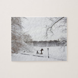 USA, New York City, Central Park in winter Jigsaw Puzzle