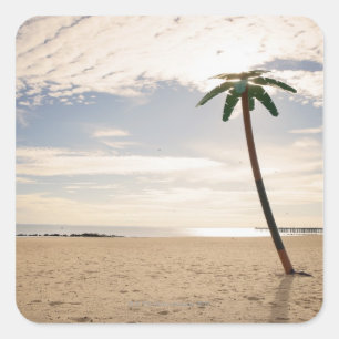 USA, New York City, Coney Island, palm tree on Square Sticker