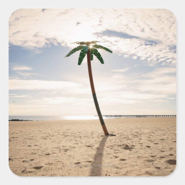 USA, New York City, Coney Island, palm tree on Square Sticker (Front)