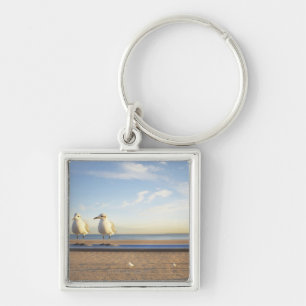 USA, New York City, Coney Island, three seagulls Keychain