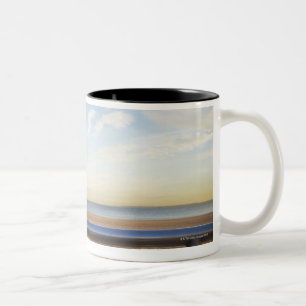 USA, New York City, Coney Island, three seagulls Two-Tone Coffee Mug