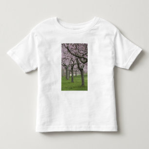 USA, New York, East Hampton. Cherry trees in Toddler T-shirt