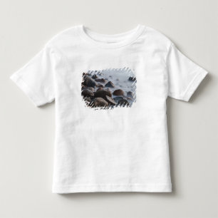 USA, New York, East Hampton. Ocean surf at Toddler T-shirt