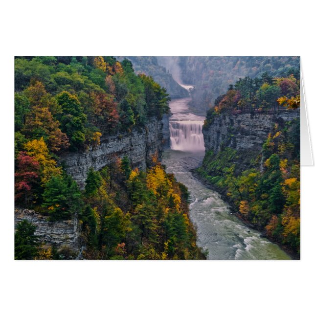 USA, New York, Letchworth State Park. River and (Front Horizontal)