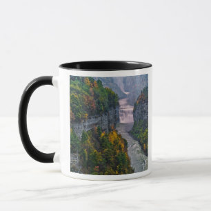 USA, New York, Letchworth State Park. River and Mug