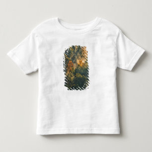 USA, New York, Letchworth State Park. Sunrise Toddler T-shirt