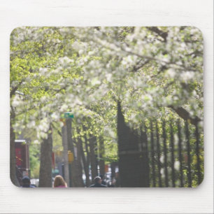 USA, New York, New York City, Manhattan: 8 Mouse Pad