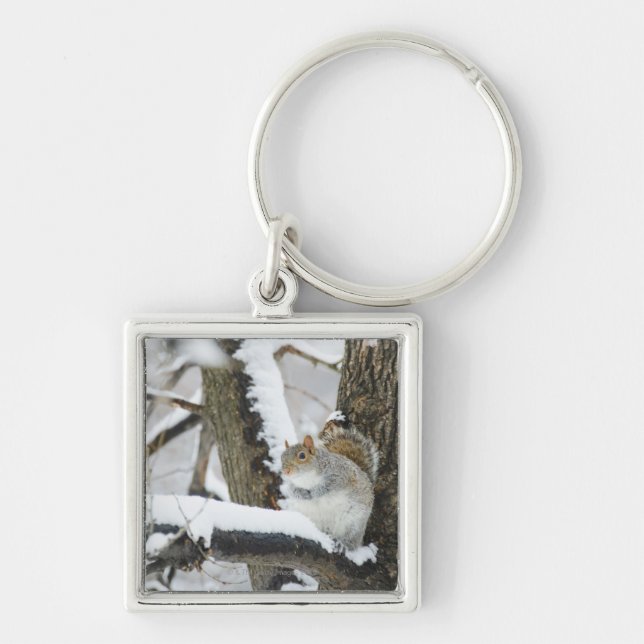 USA, New York, New York City, squirrel sitting Keychain (Front)