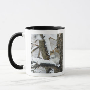 USA, New York, New York City, squirrel sitting Mug