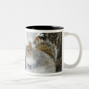 USA, New York, New York City, squirrel sitting Two-Tone Coffee Mug